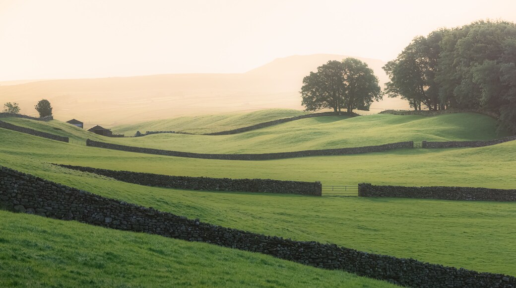 Golden misty light on old stone walls and rolling hills of the rural English countryside pastoral landscape in Swaledale of the Yorkshire Dales National Park.