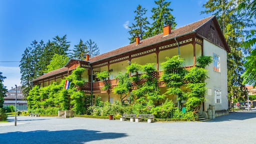 Um edifício de madeira tradicional com telhado de cerâmica, rodeado por vegetação exuberante e árvores.