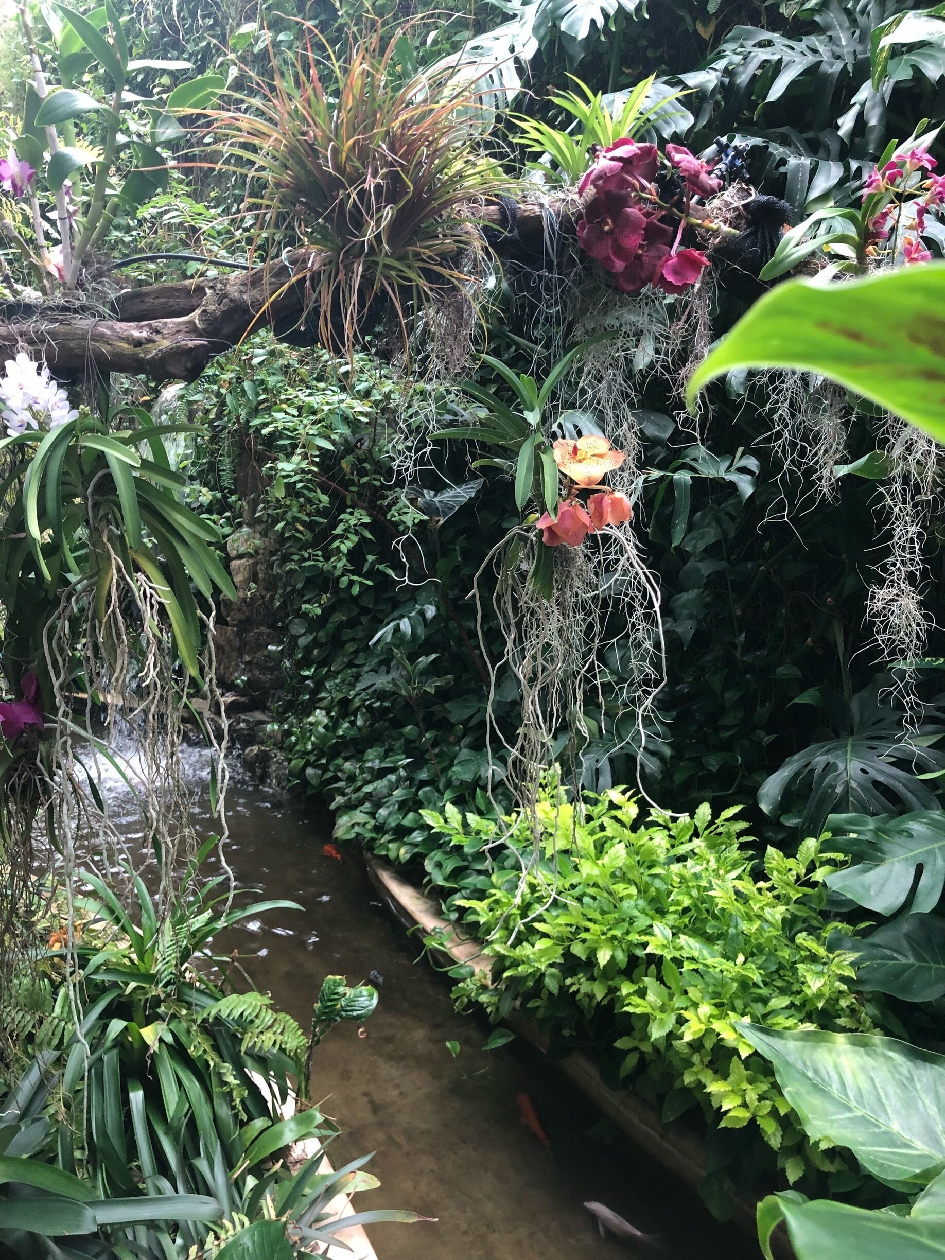 It’s like a bite of what you can find in Guayaquil 