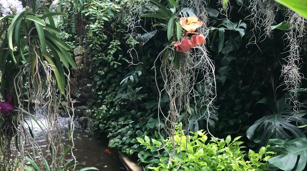 It’s like a bite of what you can find in Guayaquil