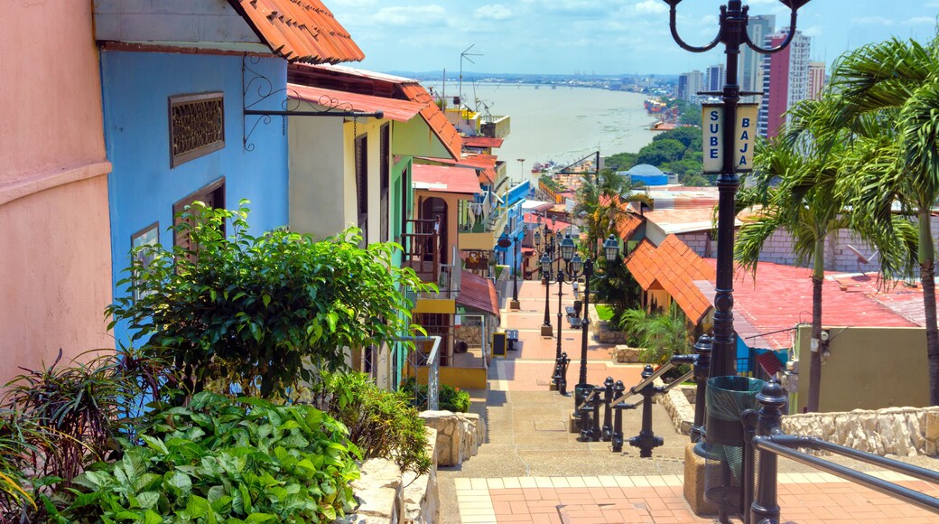 View of Guayaquil, Ecuador