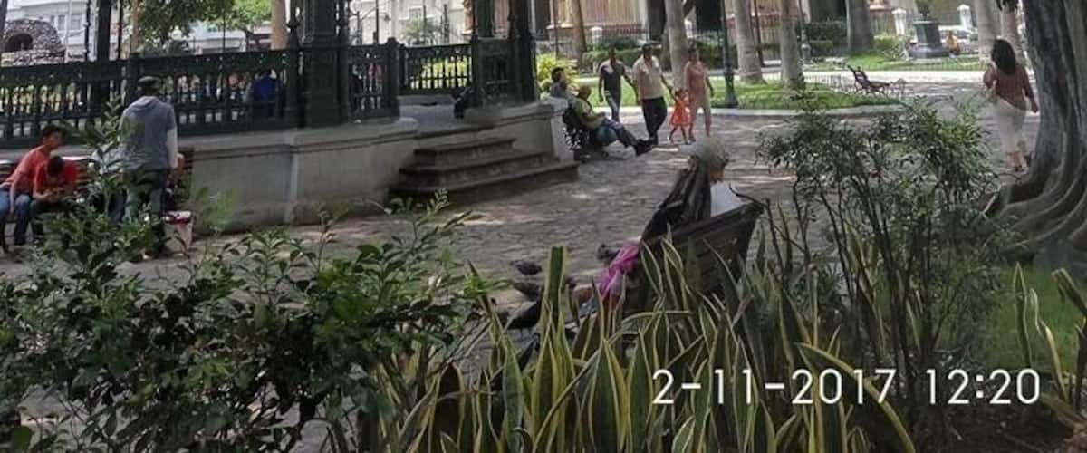 In this park you’ll find a large population of iguanas