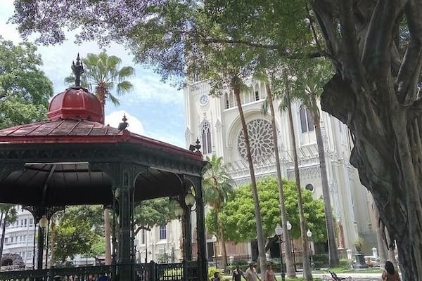 In this park you’ll find a large population of iguanas