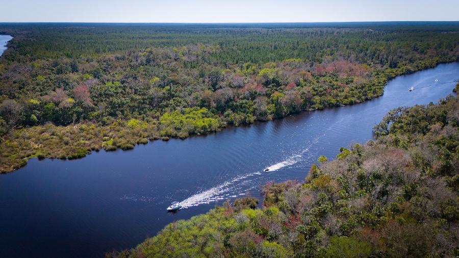 Salt Springs Run on Lake George in Florida.