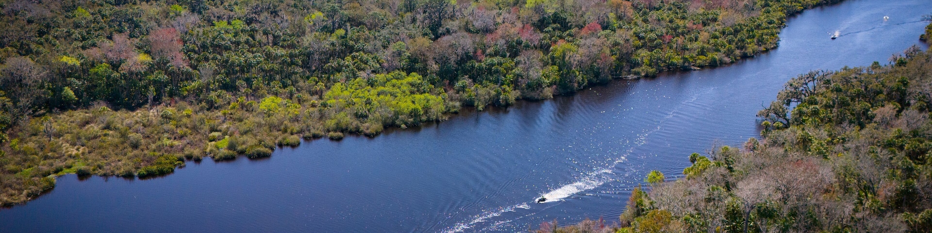 Salt Springs Run on Lake George in Florida.