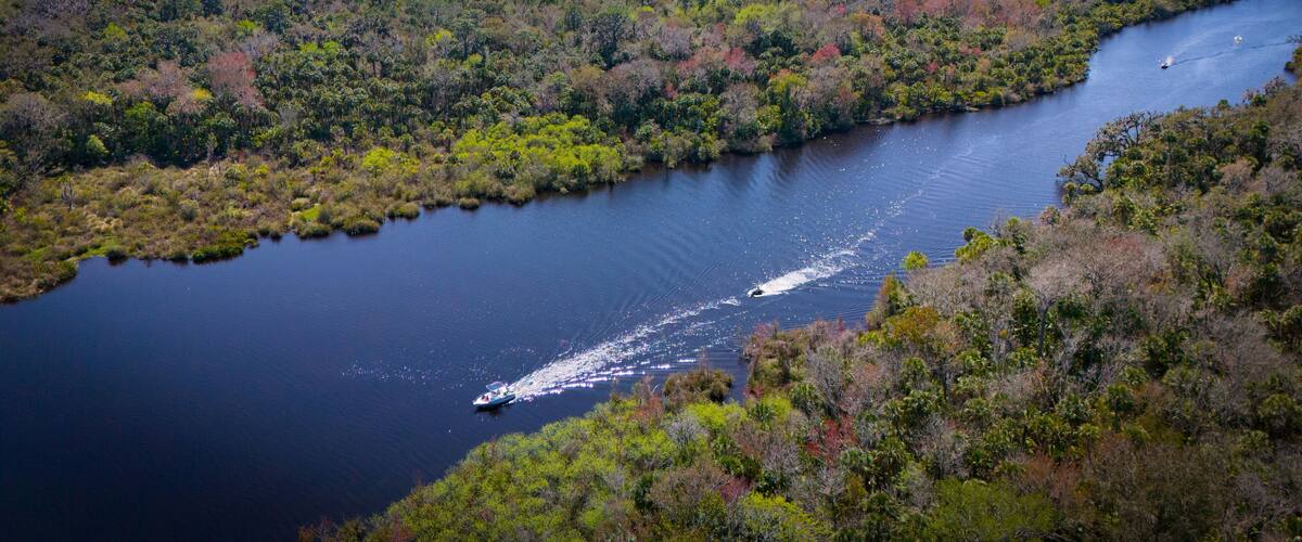 A river winding through a dense forest with a boat creating a wake.