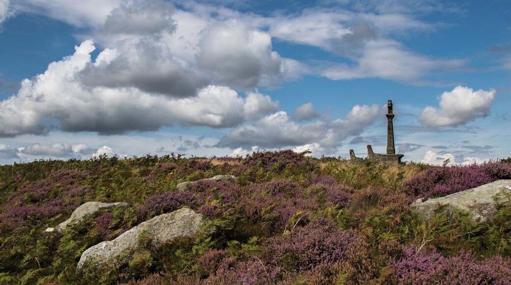 The Monks Cross different one's can be found all over the Yorkshire Moors as a landmark for the monks walking to and from Whitby on the east coast. Sitting on top of a hill with views all round including a view of Whitby in the far distance.