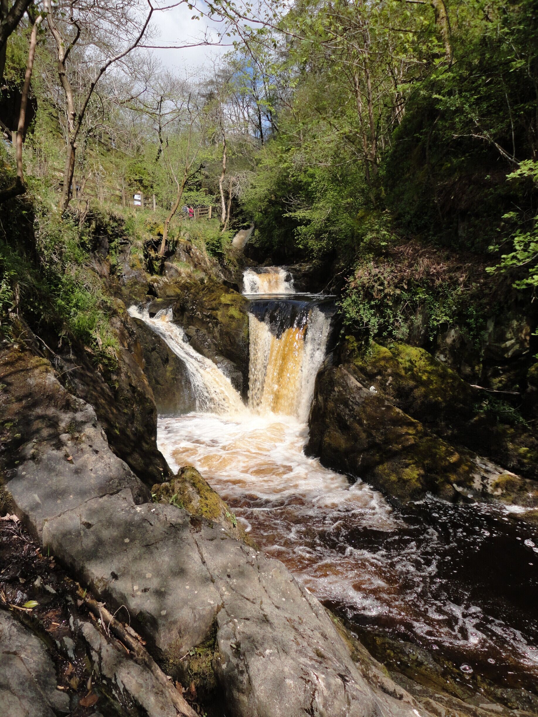 A waterfall cascading over rocks in a forested area.