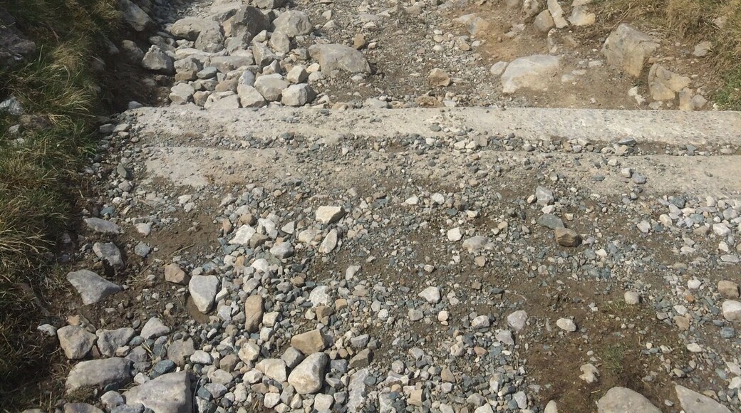 On the way to Ingleborough from Ingleton