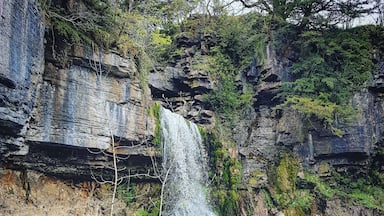 Une cascade se précipite le long d’une falaise rocheuse pour se déverser dans un bassin paisible, entouré d’une végétation luxuriante.