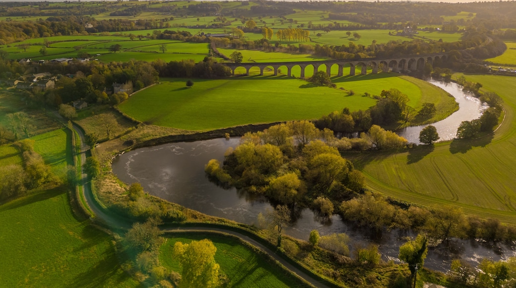 Un río serpentea por campos verdes, un puente de piedra y un cielo nublado.