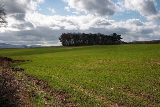 Spion Kop The name of a circular plantation which dominates the vista from Grey Towers (NZ5313) the former home of Middlesbrough ironmaster William Randolph Innis Hopkins. Spion Kop was the name of a famous British defeat in the Boer War. The plantation presumably dates from that time.
