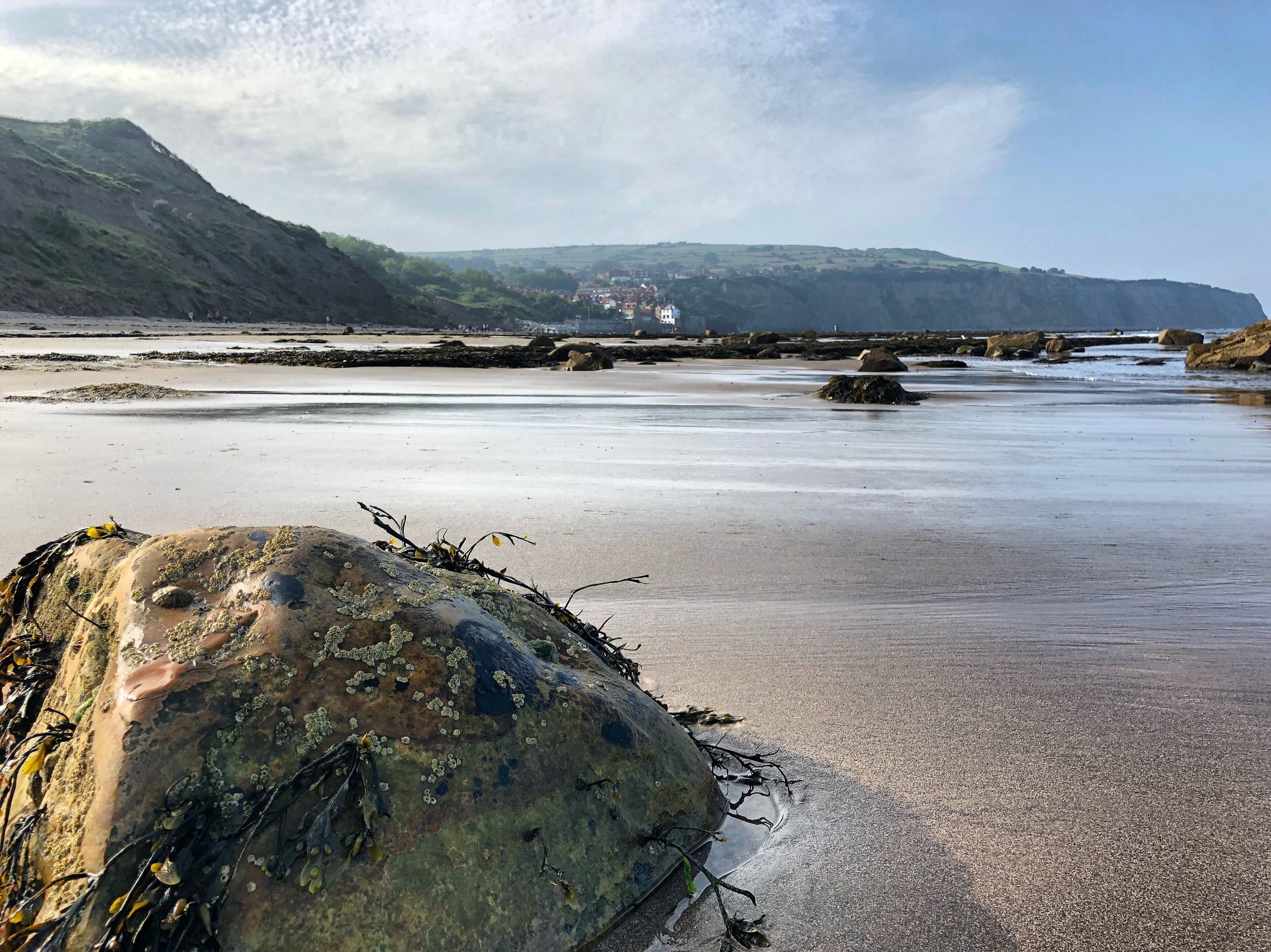 Robinhood’s bay beach, North Yorkshire. #nature MyBackyard