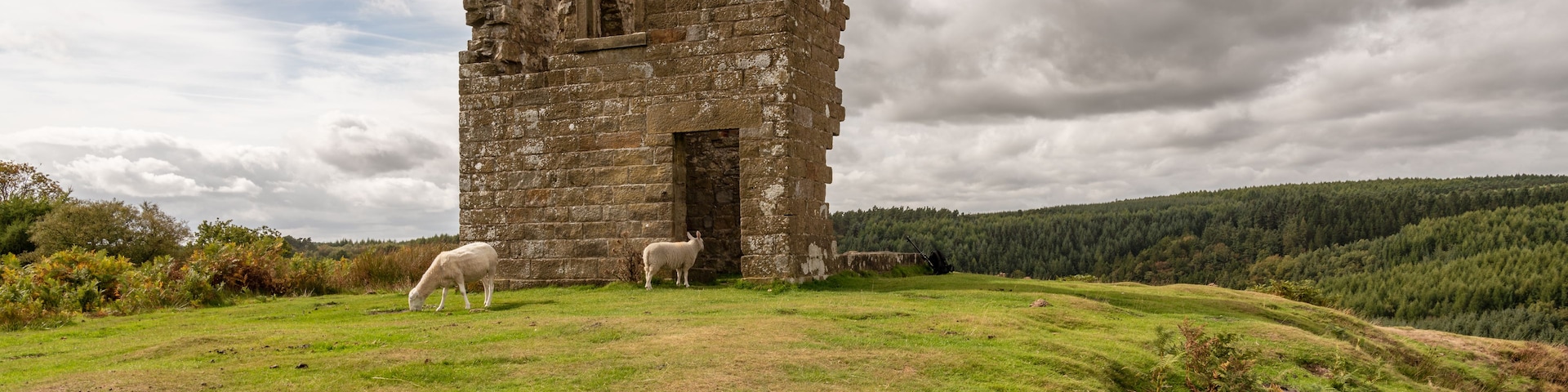 A stone ruin with two sheep grazing nearby.