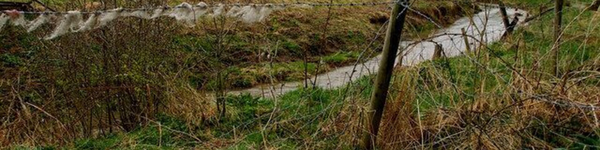 Paisagem rural com um riacho, um muro de pedra e uma cerca de madeira.