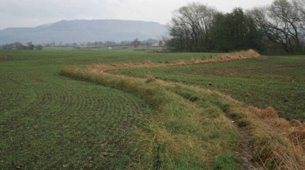 Public Footpath to Great Ayton Hugging the north bank of the River Leven this is the quickest walking route from Stokesley to Great Ayton so I assume it must be of great antiquity. I would have expected it to be more of a bridleway however but perhaps this route was just too boggy for horse and carts preferring a more southern route avoiding the river along the line of the modern A173.