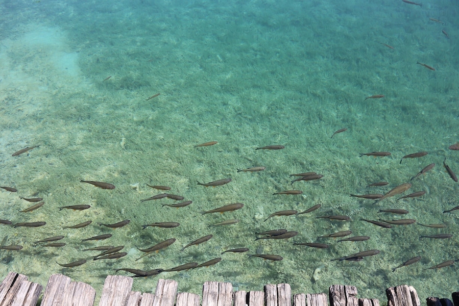 Plitvice Lakes National Park