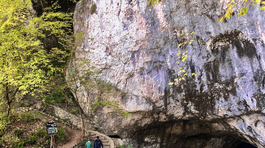 Entrance to the caves