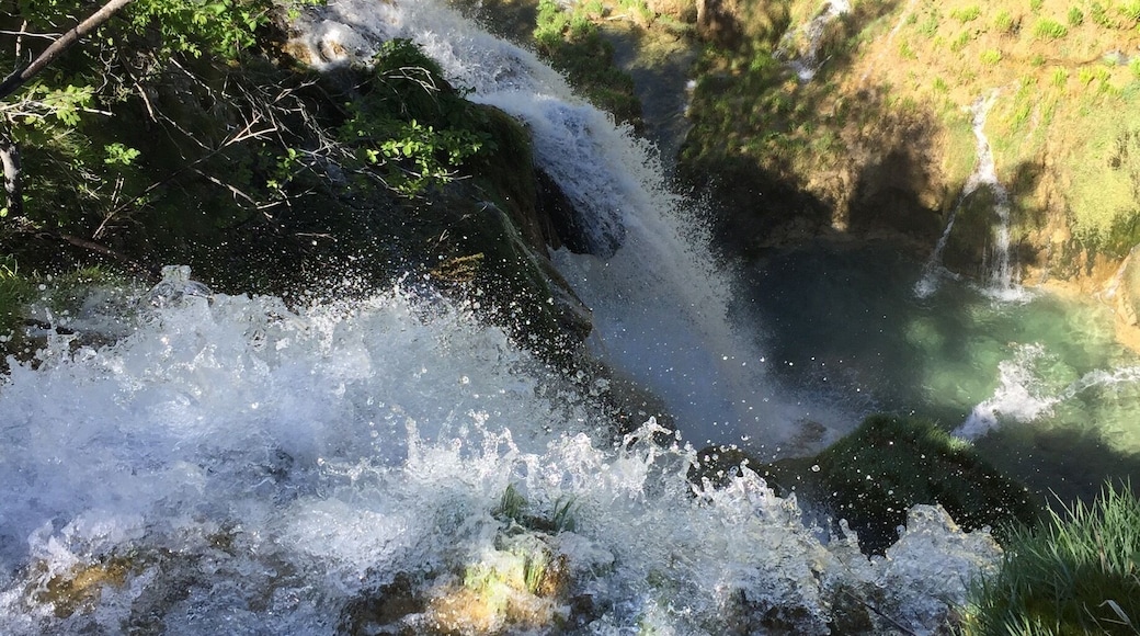 Just before arriving to the big Waterfall in Plitvice lakes, you have for me the best spot, where most of the water falls from all around, into a big, deep, clear blue water a good 75-80m underneath!! And you are on the steps just above the water that makes the whole experience fascinating!
#50 shades of green