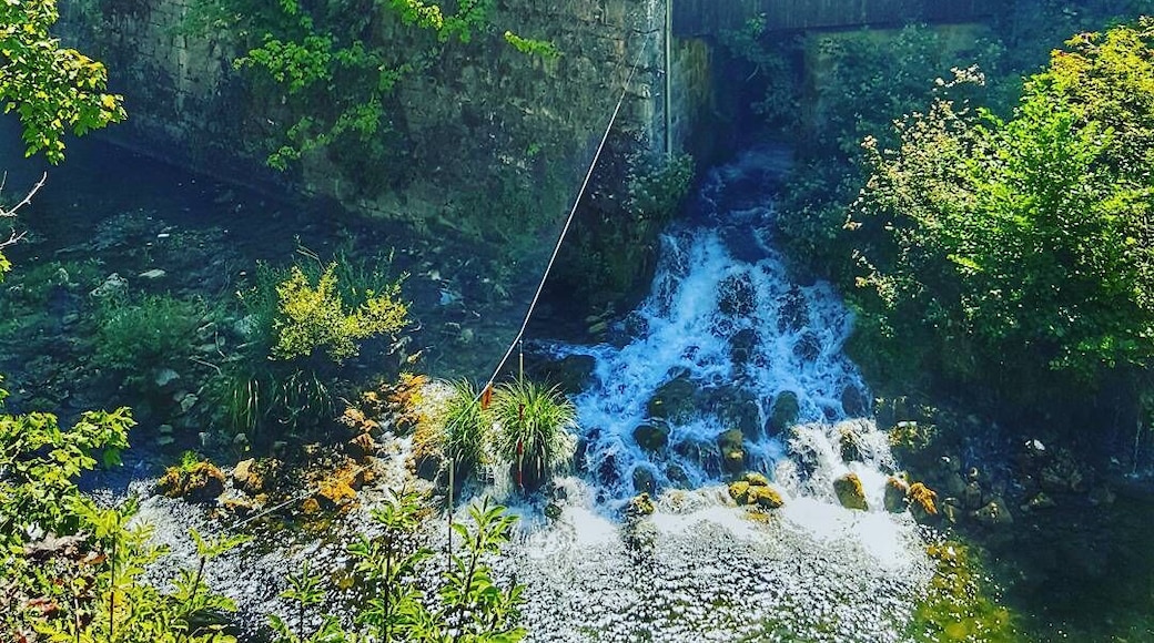 The watermill village #AquaTrove