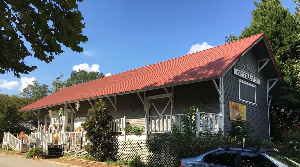 Great fried green tomatoes 🍅