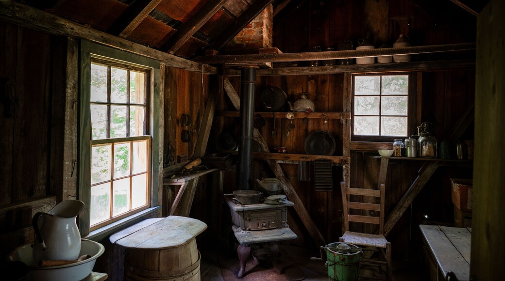 Kitchen of John Fitz Jarrell House (1847) at Jarrell Plantation