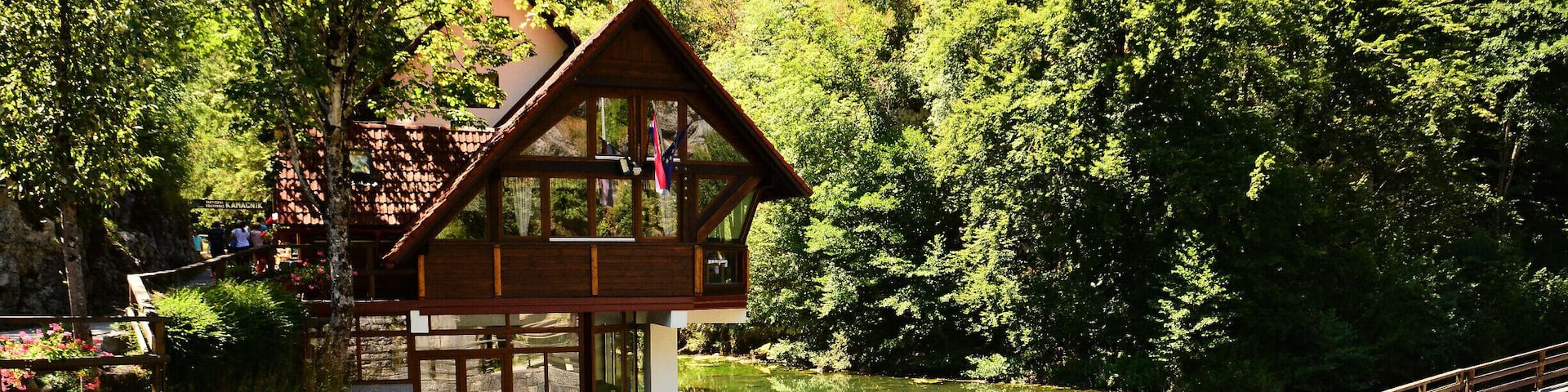 for wonderful walks through the woods