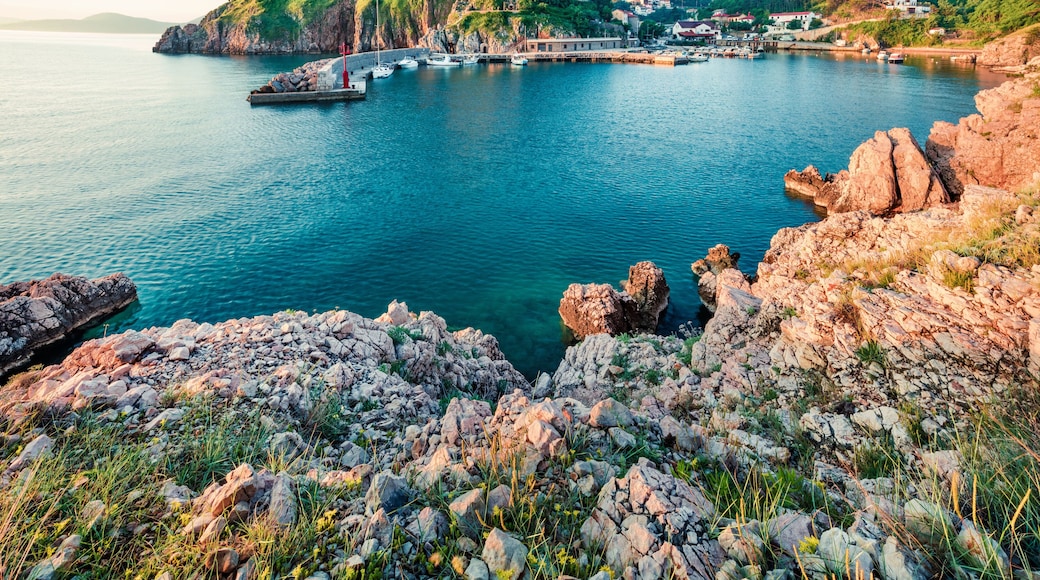 Vrbnik