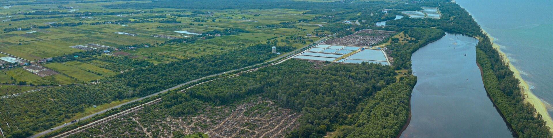 Aerial drone view of paddy plantations land scenery in Kuala Rompin, Pahang, Malaysia