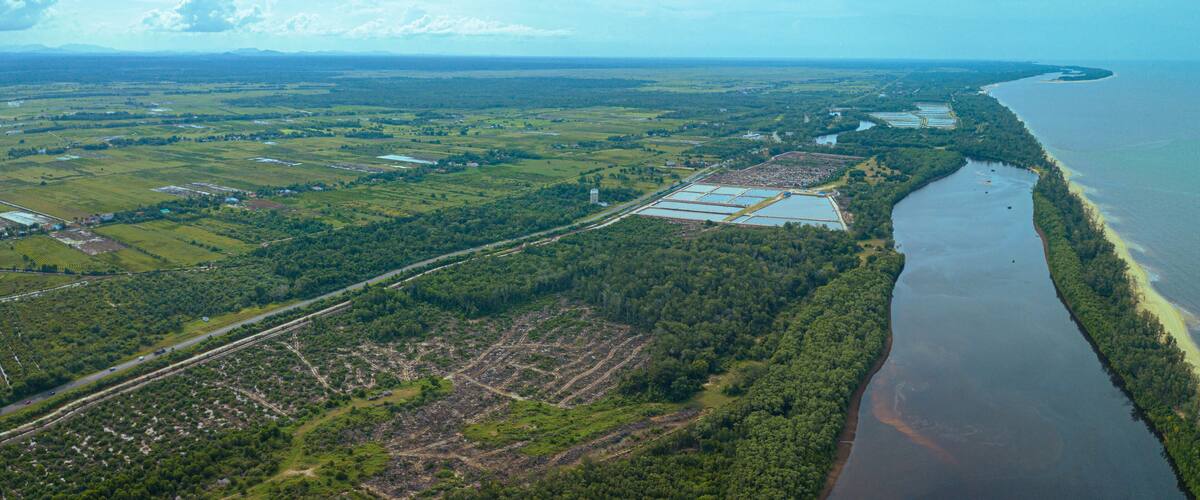 An aerial view of a coastal area with a river, agricultural fields, and a forested area.