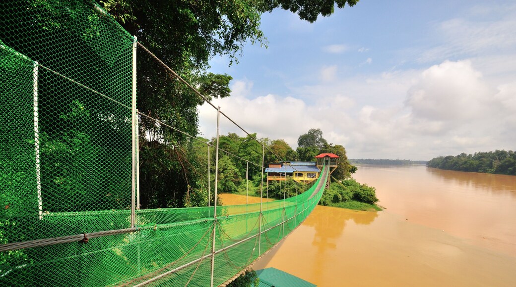 Suspension bridge over the river located at Temerloh, Pahang, Malaysia.