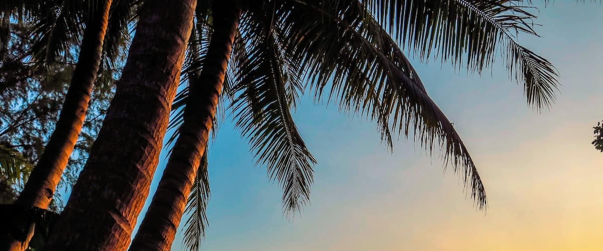 View of the beach from "The Captains Long House". In more than a month on this Island, I've never seen more that 20 people on this large portion of the beach. Definitely a place to visit if you want to get away from the crowds.
#beach
