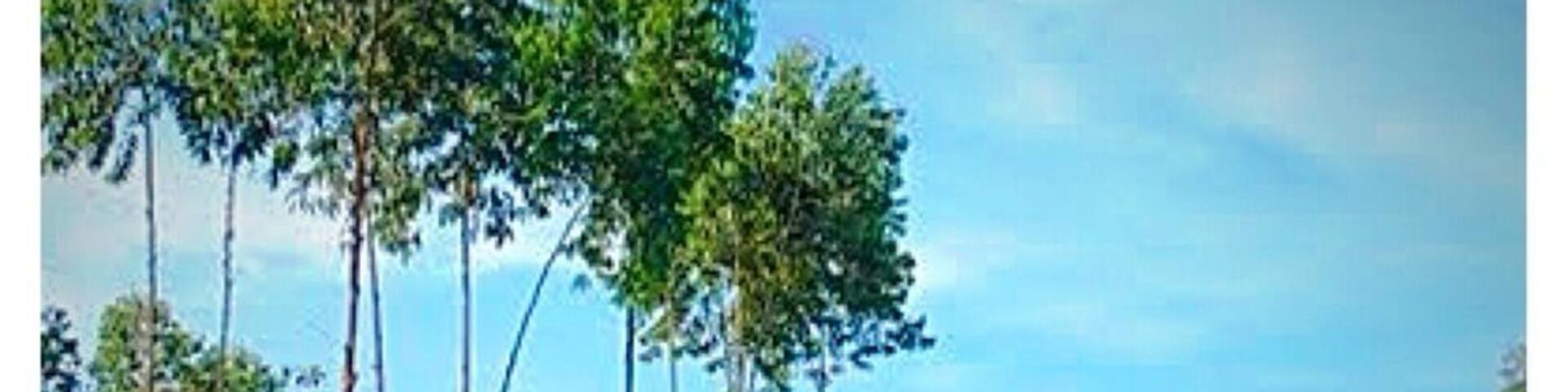 For travelers who want to take in the sights and sounds of Garut, Mulih Ka Desa Hotel is the perfect choice. From here, guests can enjoy easy access to all that the lively city has to offer. The hotel offers an excellent variety of recreational facilities, including children's playground, fishing. Mulih Ka Desa Hotel is your one-stop destination for quality hotel accommodations in Garut. We enjoyed our stay here.