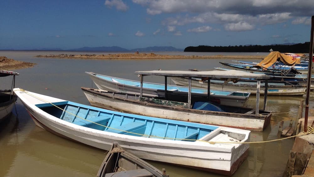 Fishing Boats docked outside of Waterloo along the west coast of Trinidad. In addition to the great scenery (Port of Spain and the NW coast of Trinidad are visible in the distance) this is an excellent place to look for birds including several over-wintering shorebird species like Whimbrel and Black-necked Stilts.