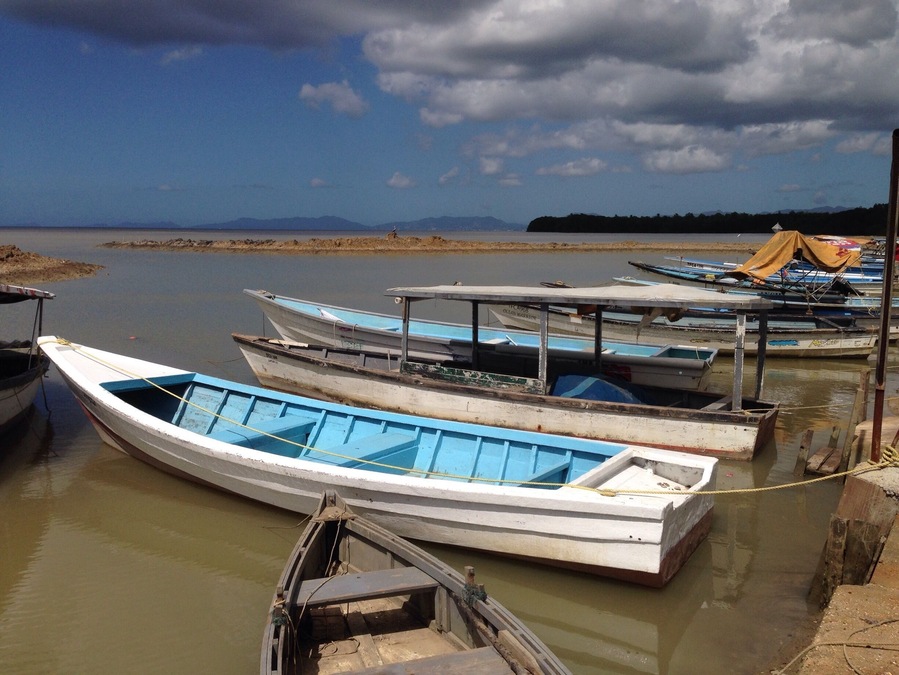Fishing Boats docked outside of Waterloo along the west coast of Trinidad. In addition to the great scenery (Port of Spain and the NW coast of Trinidad are visible in the distance) this is an excellent place to look for birds including several over-wintering shorebird species like Whimbrel and Black-necked Stilts.