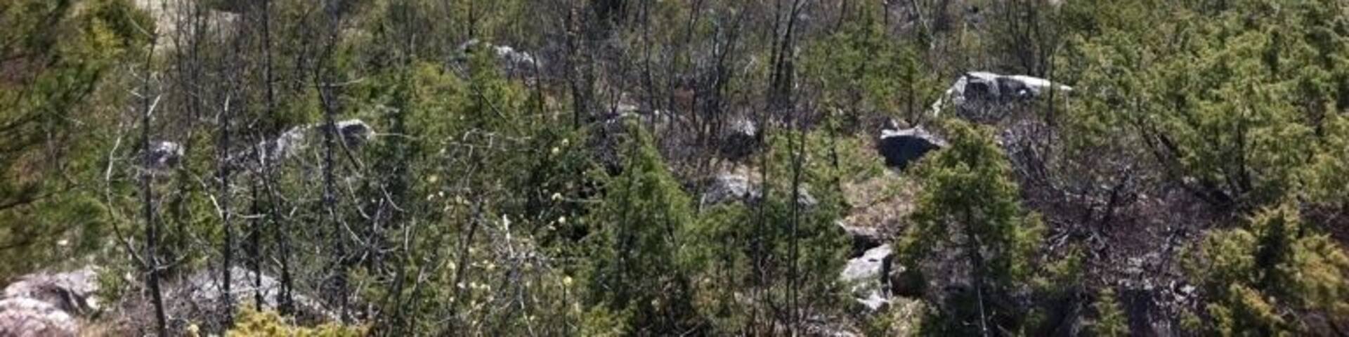 Panorama na kotlinu Donjeg Ykosinja i Lipovog polja