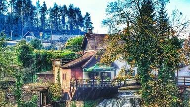 Una cascada fluye sobre rocas cubiertas de musgo, rodeada de abundante vegetación y edificios tradicionales.