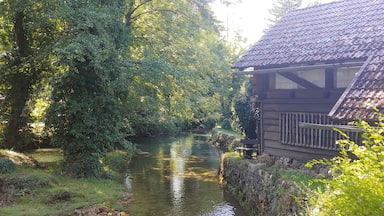 Una cabaña de madera junto a un río, rodeada de abundante vegetación.