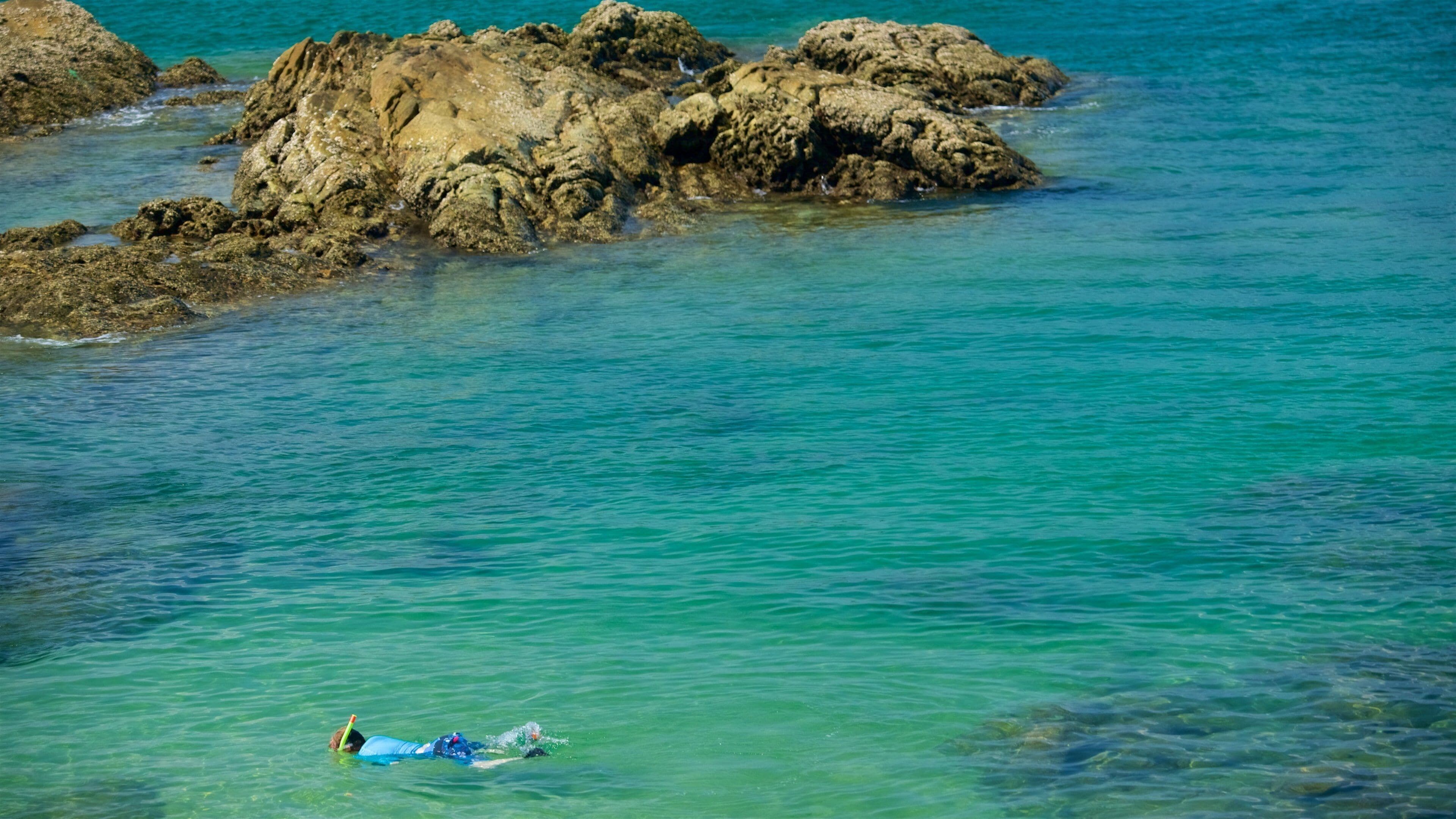芭东的海滩附近最受欢迎的住宿
