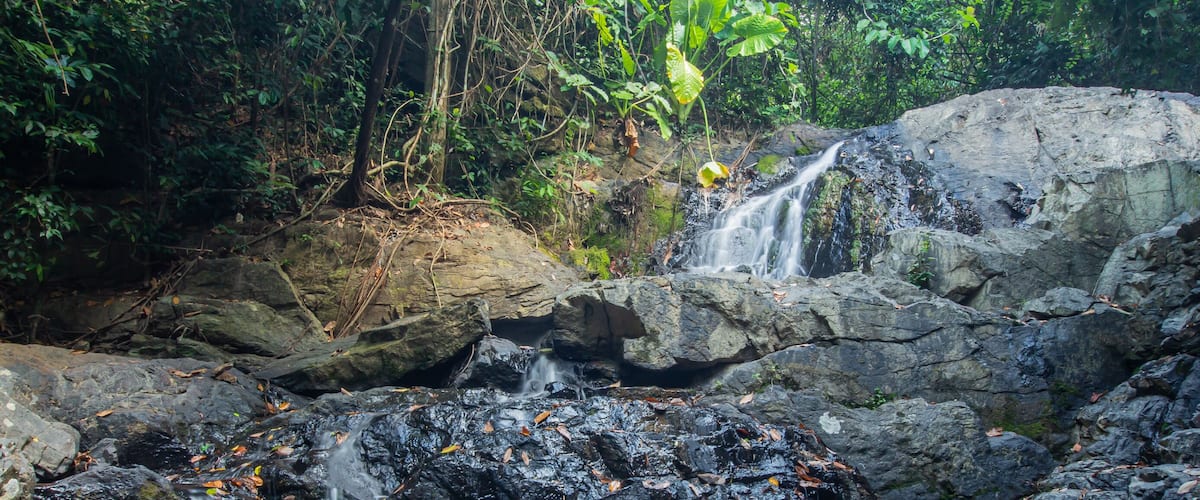 A waterfall cascading over rocks into a pool, surrounded by dense forest.