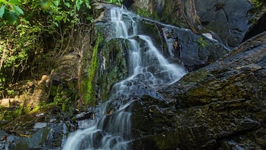 Una cascada que se precipita sobre rocas en un área boscosa.