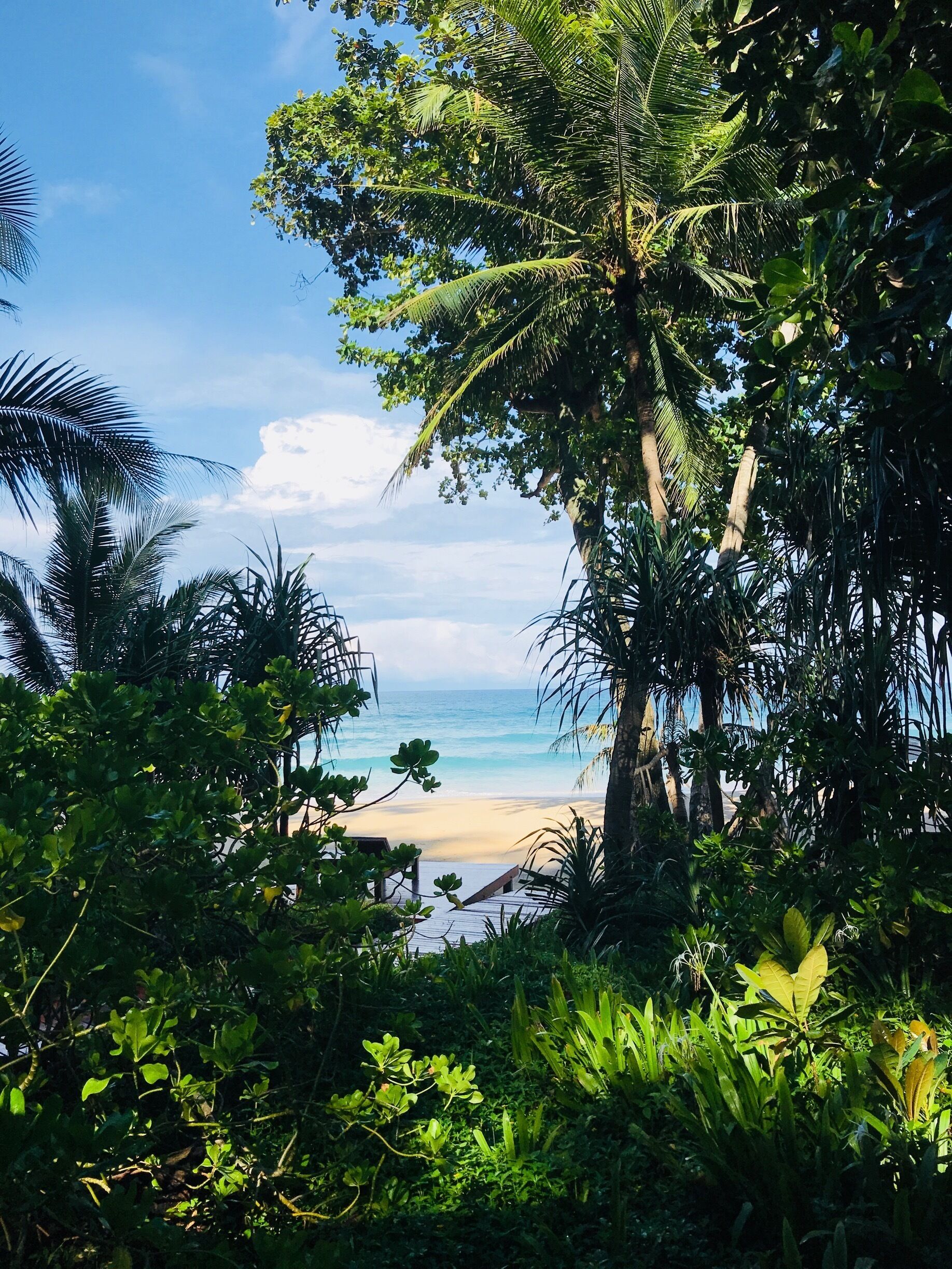 Woke up to this lovely view from my porch...