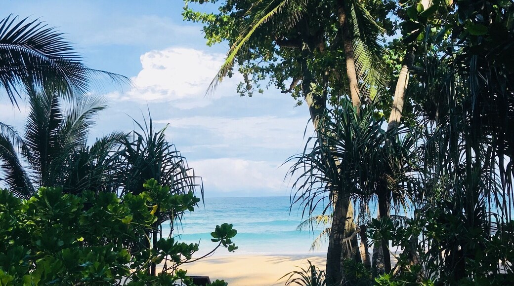 Woke up to this lovely view from my porch...