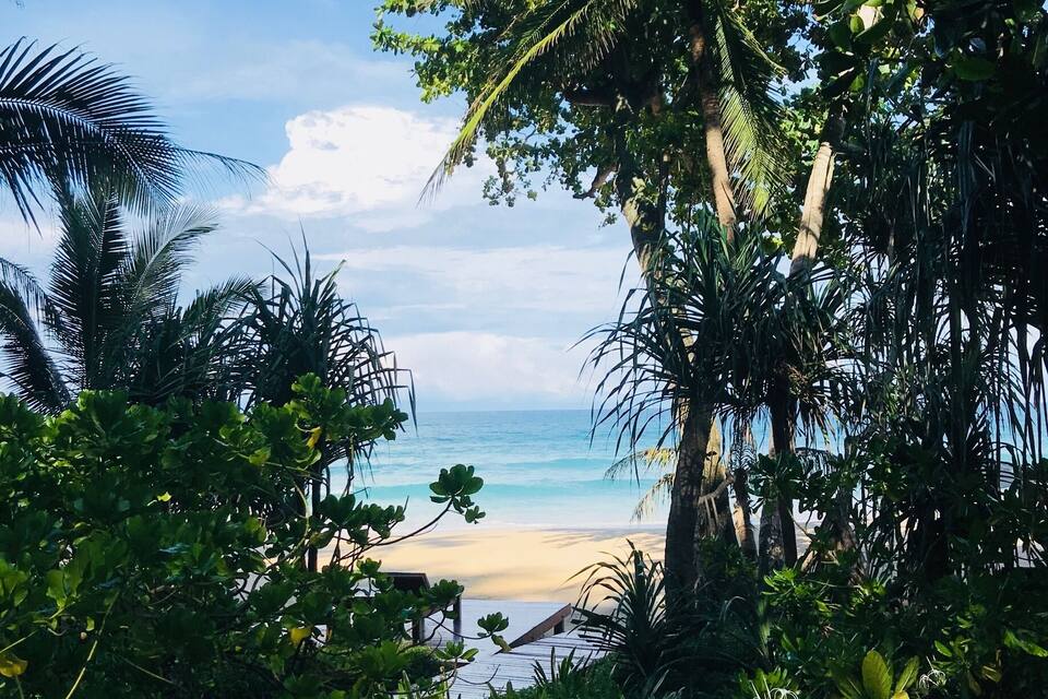 Une plage tropicale bordée d’une végétation luxuriante, offrant une vue dégagée sur l’océan.