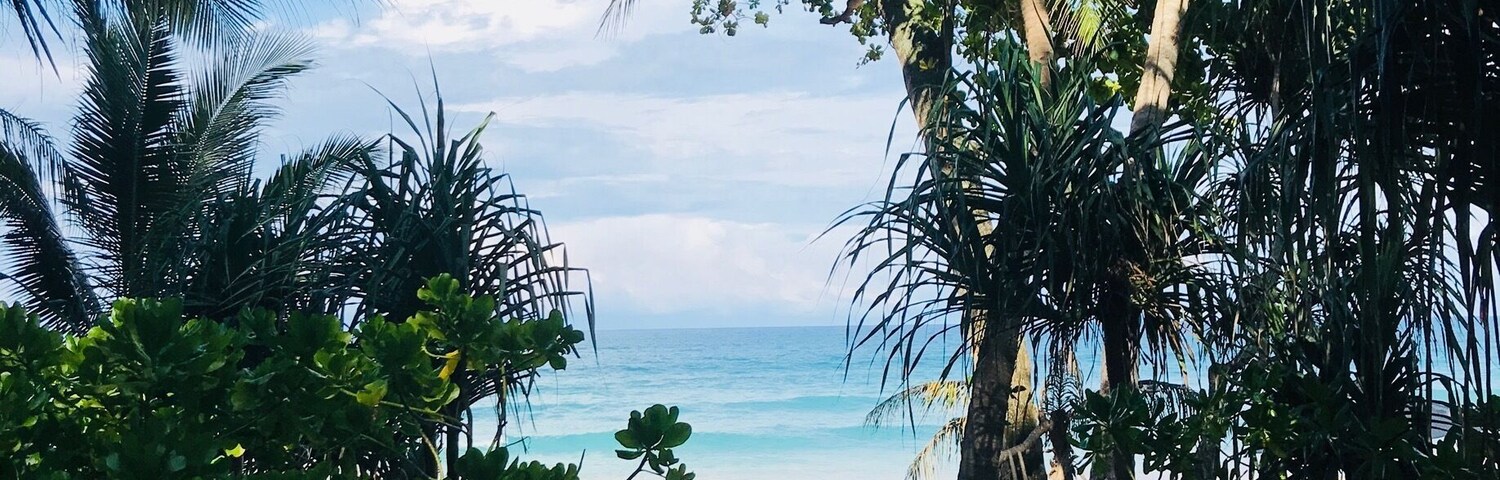 Woke up to this lovely view from my porch...