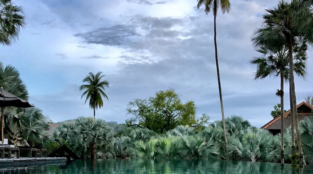 Plush swimming in the silver palm fringed infinity pool. This was taken just before a massive downpour from out of nowhere. #infinity #pool #silverpalm #phuket #lifeatexpedia