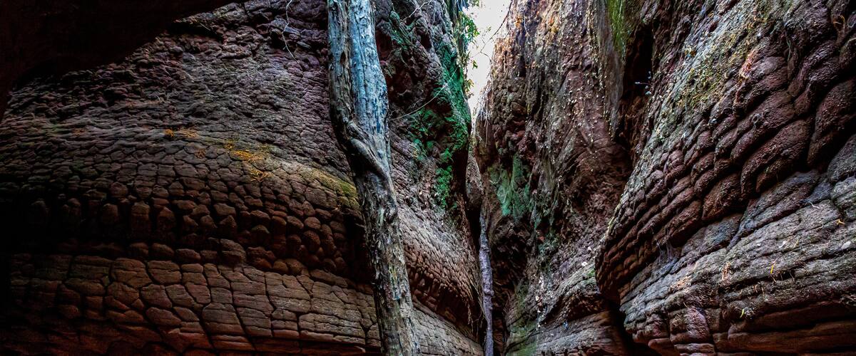 Naka Cave at Bueng Kan province. Travel destination of Thailand, Asia. (ฺBody part)