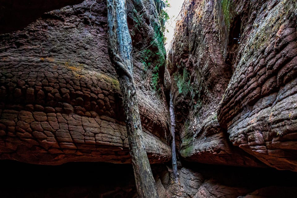 A rocky canyon with a narrow passageway and a tree trunk in the center.