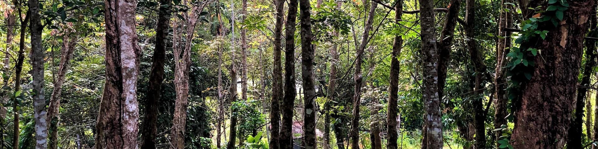 Look close. Do you see the house? What’s it like to be sooo off the grid? More like, what’s it like to make this hike everyday?