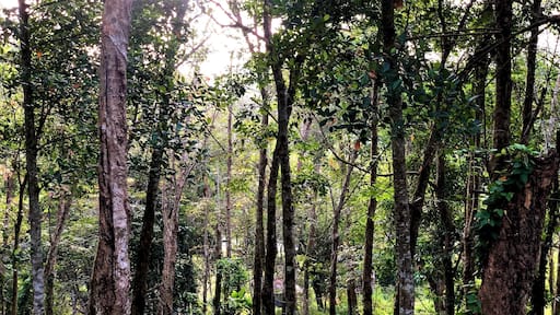Look close. Do you see the house? What’s it like to be sooo off the grid? More like, what’s it like to make this hike everyday?